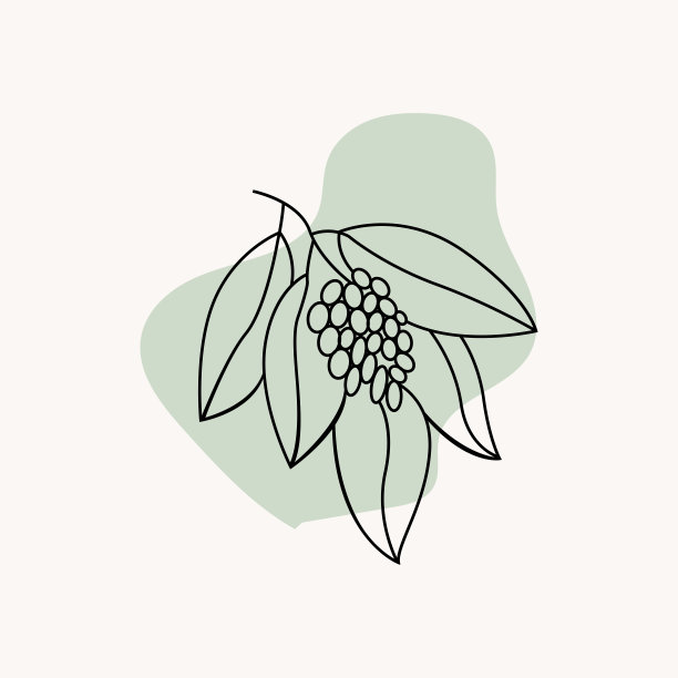 咖啡标志设计，咖啡树饮料矢量，模板符号说明图片下载