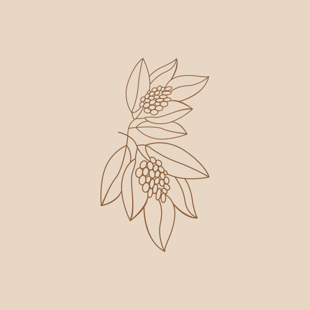 咖啡标志设计，咖啡树饮料矢量，模板符号说明图片下载