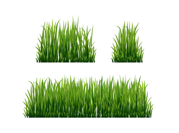 一套新鲜的绿草图片下载
