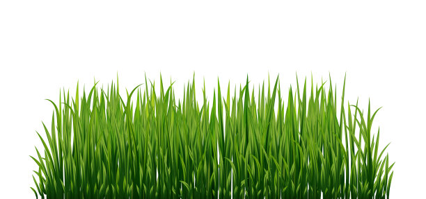一套新鲜的绿草图片下载