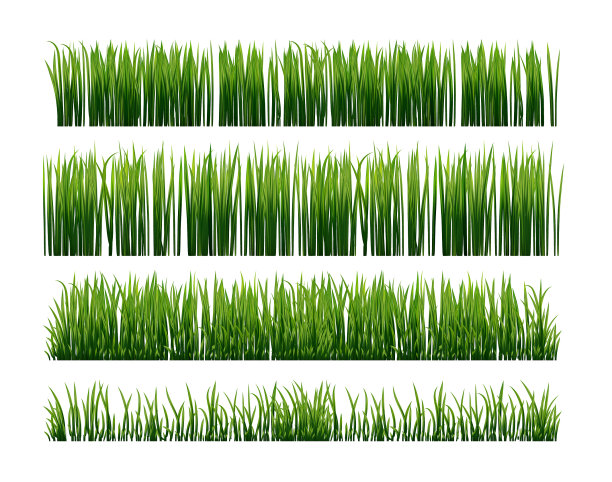 一套新鲜的绿草图片下载