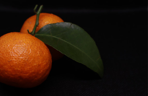 充满活力的柑橘类水果图片下载