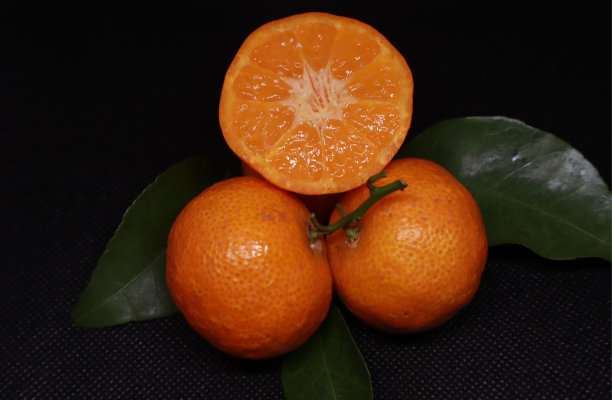 充满活力的柑橘类水果图片下载