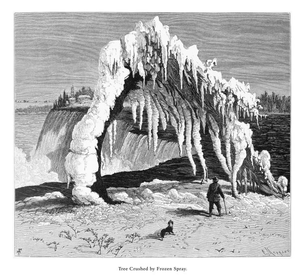 纽约尼亚加拉大瀑布被冰冻浪花压垮的树木，1872年美国维多利亚时代雕刻图片下载
