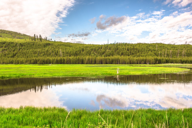 麦迪逊河，麦迪逊，黄石国家公园图片下载