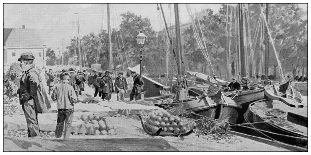 古董插图:伊丹奶酪制作，荷兰图片下载