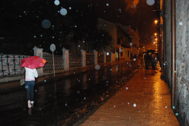 红伞雨图片下载