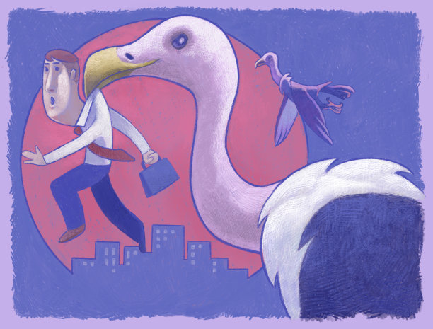 秃鹰抓商人图片下载