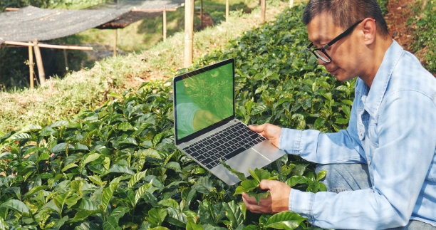 智能农民使用笔记本电脑在生态绿色农场可持续质量控制。近距离手写体笔记本电脑质量控制树。农民双手使用生态农田生物技术图片下载