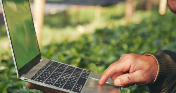 智能农民使用笔记本电脑在生态绿色农场可持续质量控制。近距离手写体笔记本电脑质量控制树。农民双手使用生态农田生物技术图片下载