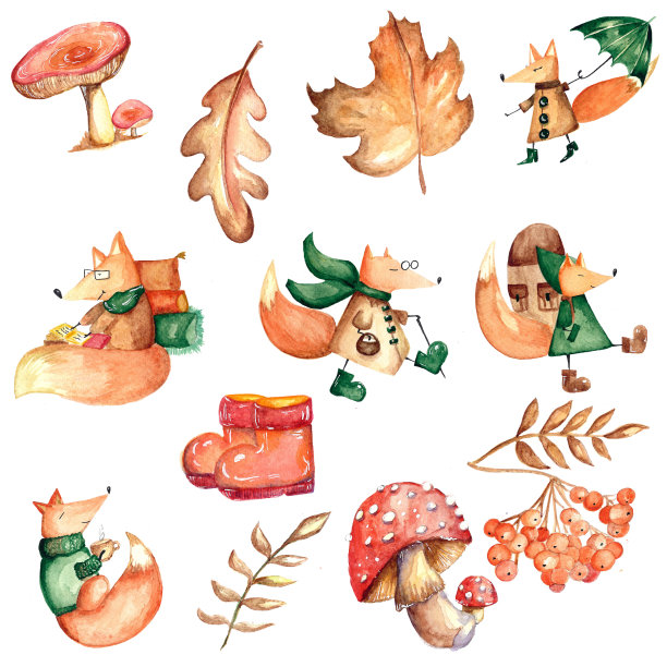 一组水彩元素。秋叶的山灰、枫、橡树。鲜艳的蘑菇。可爱有趣的狐狸。适合印制贺卡、请柬装饰。图片下载