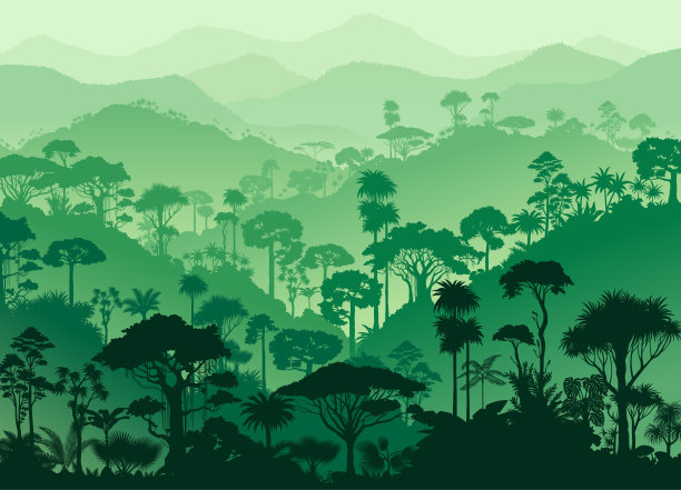 矢量山热带雨林丛林背景图片下载