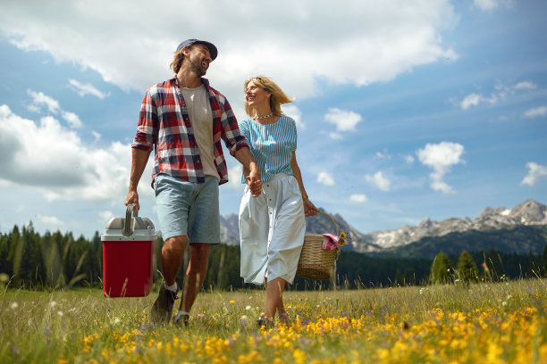 年轻的成年夫妇手牵着手，在大自然中散步，提着篮子和移动冰箱，去野餐图片下载