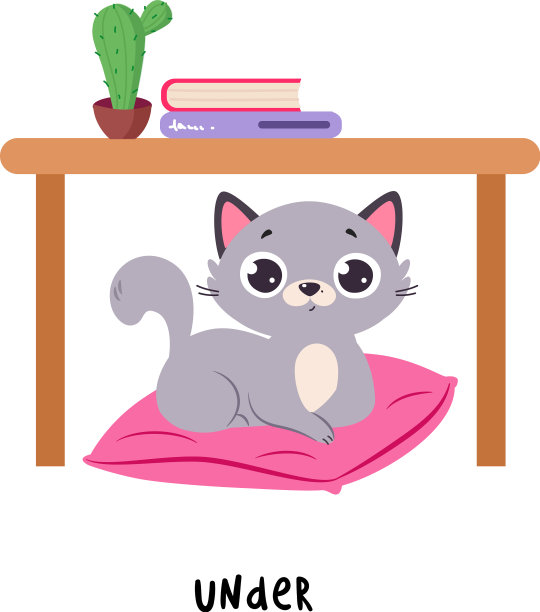 小灰猫坐在桌子下面的枕头上图片下载