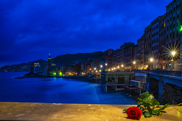 卡莫格利海边的红玫瑰图片下载