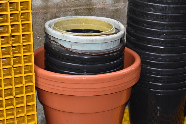 水桶和花盆图片下载