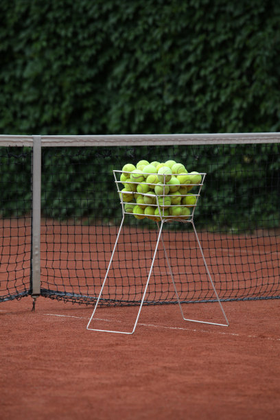 篮里的网球图片下载