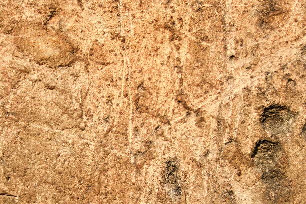 抽象浮雕粗糙砂砾的棕色表面的背景纹理图片下载