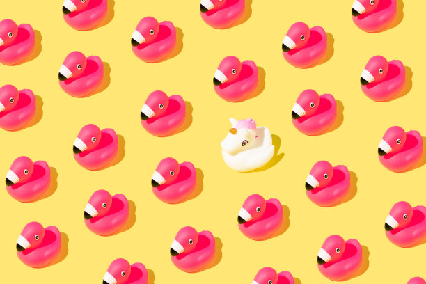 夏季图案与橡胶粉红色火烈鸟和一个独角兽在黄色的背景。图片下载