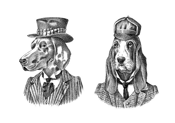 猎犬和德国短毛猎犬图片下载