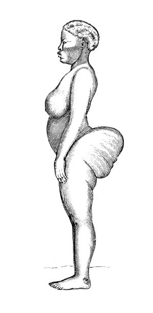 古董插图，民族志和土著文化:非洲，霍霍女人图片下载