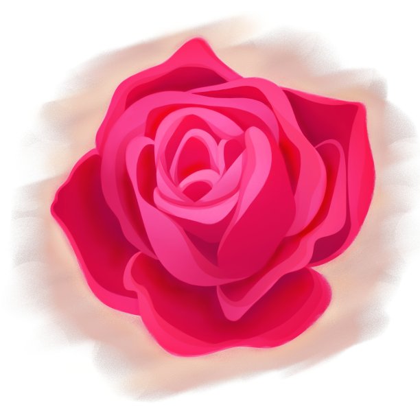 经典的粉红色玫瑰花蕾图片下载