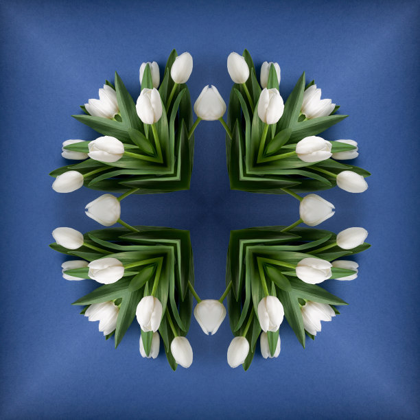 万花筒，抽象，无缝图案，平面设计，白色郁金香图片下载