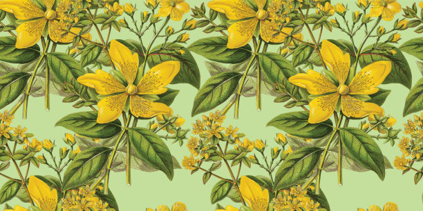 维多利亚植物，手工着色，无缝重复模式。现实的盛开孤立的花朵复古面料背景。美丽的小屋花园和野花。壁纸巴洛克风格。绘画雕刻。维多利亚时代的插图。股票插图图片下载