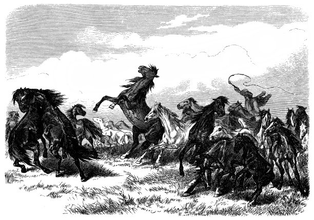 牛仔和马图片下载