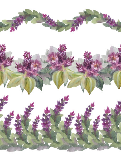 设置无缝边界水彩抽象波枝与花紫罗兰淡紫色和叶孤立在白色背景。手绘春夏植物。婚礼艺术8三月包装贴纸图片下载
