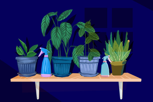 晚上在温室里的植物图片下载