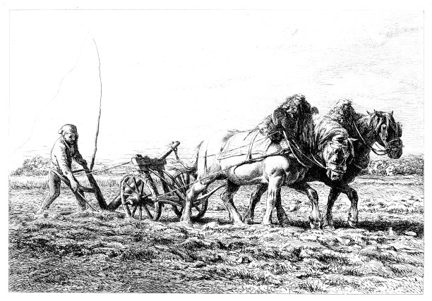 农民耕田的土壤雕刻1888年图片下载