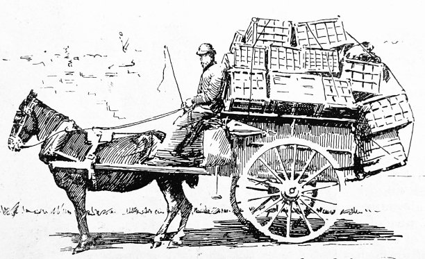 鸡制造:载货运输图片下载