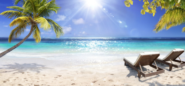 马尔代夫岛上有棕榈叶的热带海滩图片下载