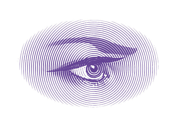 所有的导盲犬图片下载