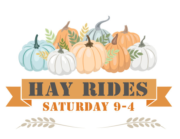 透明背景下的秋收节日元素图片下载