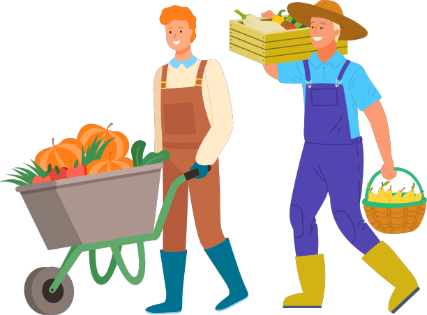 收割的人把蔬菜装在箱子里图片下载