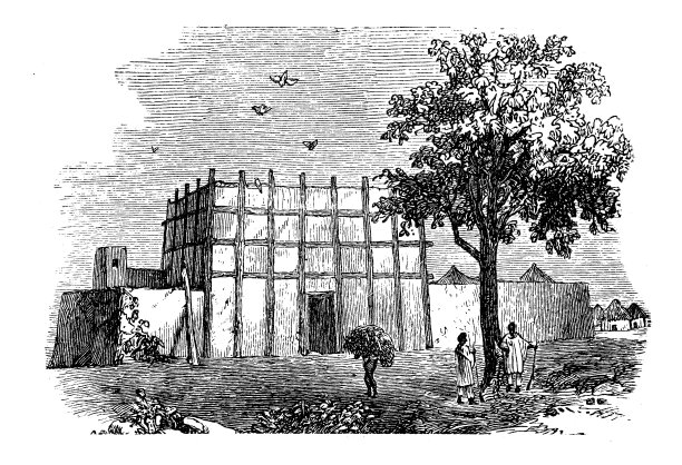 古董插图，民族志和土著文化:非洲，主要家园，尼日尔图片下载