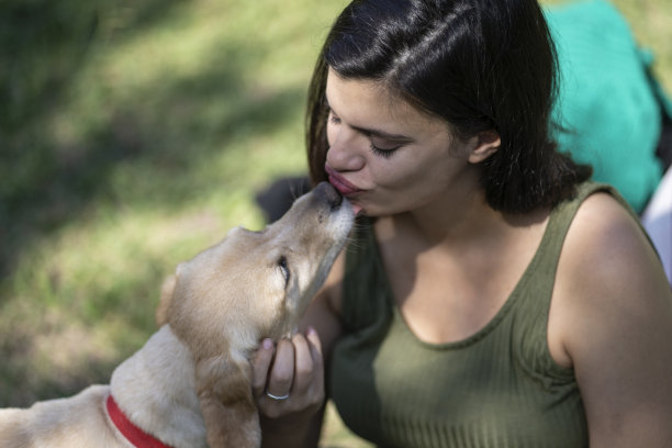 一个拉丁女人坐在公园里接受她的狗的亲吻。头顶球图片下载