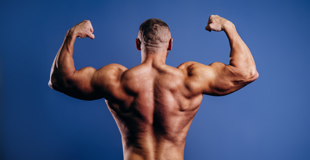 裸露躯干的男性健美运动员在蓝色背景下显示出肌肉发达。健身的一个概念，举重。男人的体格图片下载