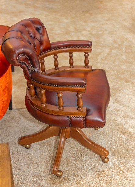 豪华皮革扶手椅图片下载