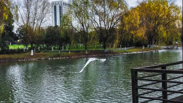上海市松江区-上海工程技术大学图片下载