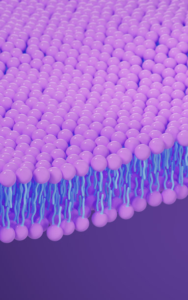 细胞膜结构背景，3d渲染。图片下载