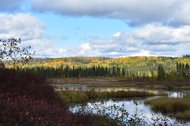 绿色和橙色图片下载