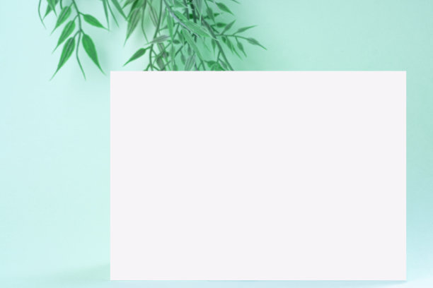 植物和卡片模型图片下载