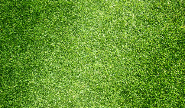 高尔夫球场绿色草坪纹理图案图片下载