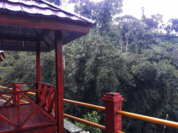 山顶上的木制凉亭。宁静、凉爽、绿色、宁静的印尼东爪哇自然景观图片下载