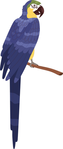 亚拉金刚鹦鹉坐在树枝上的大型热带鹦鹉图片下载