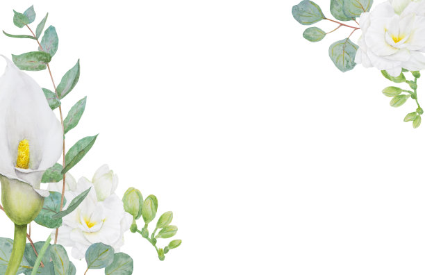 水彩框架白色马蹄莲，百合，小苍兰花和桉树。手绘花卉插图的婚礼请柬，花店，美容院。孤立的热带水魔芋问候图片下载