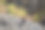 山蝴蝶的形象，桑德里奥。图片下载